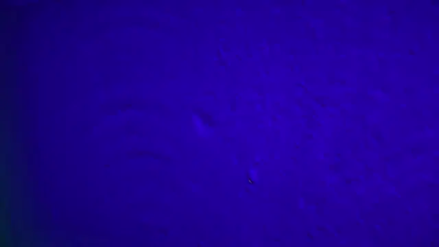 GymBoyVan online show from 02-04-26, 04:07