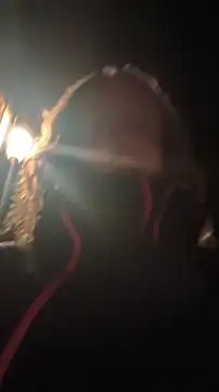 DrownMentallyyy online show from 04-05-26, 12:50