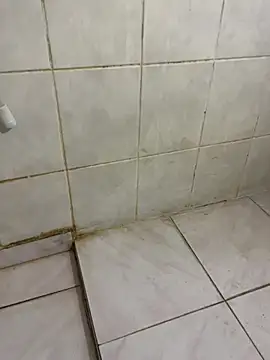 Snapshot of diege72 chatting on 10-27-25, 04:19 diege72 online show from 10-27-25, 04:19