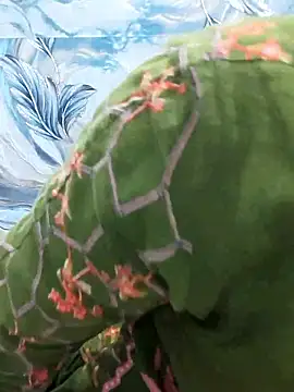 Sania-Love online show from 02-11-26, 11:15