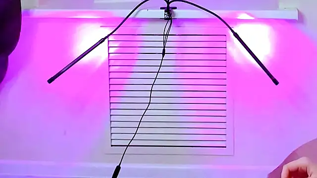 CarolGiggly online show from 11-16-25, 08:41