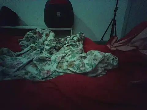 Snapshot of novilho18piroc chatting on 05-25-26, 05:22 novilho18piroc online show from 05-25-26, 05:22