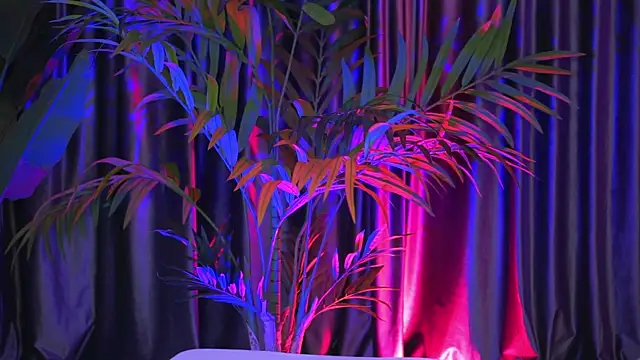 LaraSin online show from 12-30-24, 01:15