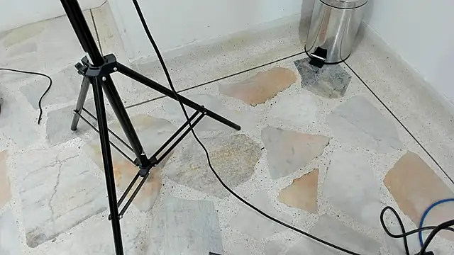 catalina Ada online show from 03-11-25, 05:35