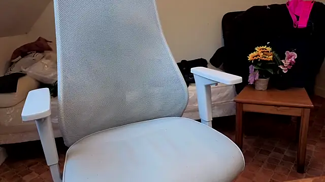 SteveStiffbone online show from 02-16-26, 02:37