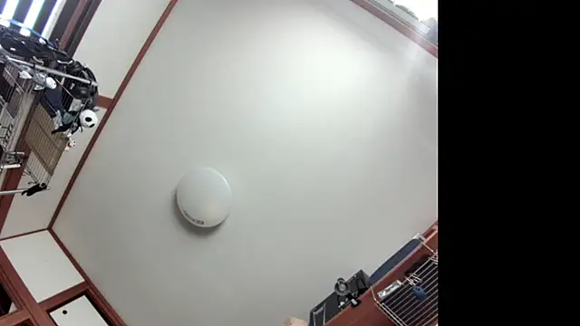 Snapshot of tuki_fu chatting on 12-08-24, 03:07 tuki fu online show from 12-08-24, 03:07