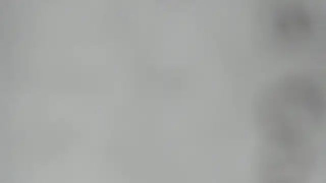 elis gabbi online show from 02-28-26, 02:44