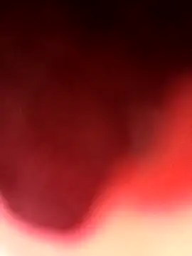 Virgin Pussy Love online show from 08-04-26, 04:00