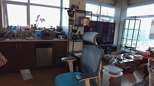 bearcloudcomputa online show from 12-30-24, 12:11