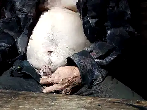 tus ordenes mis deseos online show from 04-07-26, 04:58