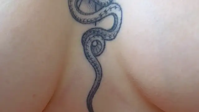 Your Auggie online show from 03-12-25, 02:12