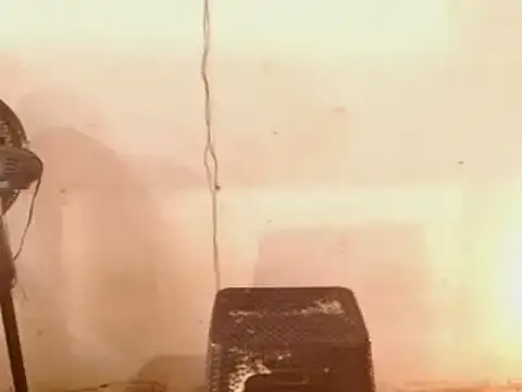 Snapshot of DiablaArdiente05 chatting on 04-29-26, 02:43 DiablaArdiente05 online show from 04-29-26, 02:43