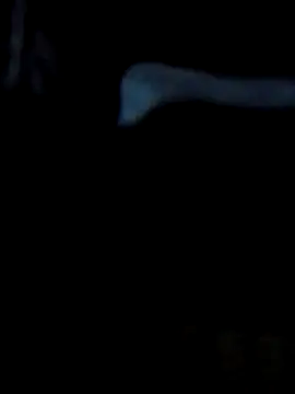 Antor1234 online show from 02-23-25, 05:07