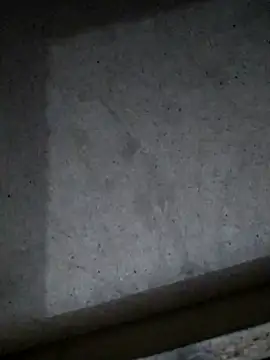 Leocesar37 online show from 03-11-26, 03:44