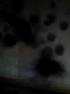 Leocesar37 online show from 02-10-26, 06:01