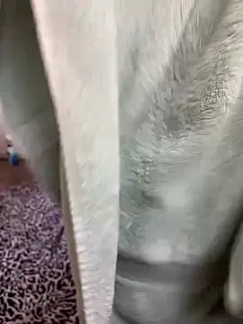 Mingtian4117 online show from 01-14-26, 01:48