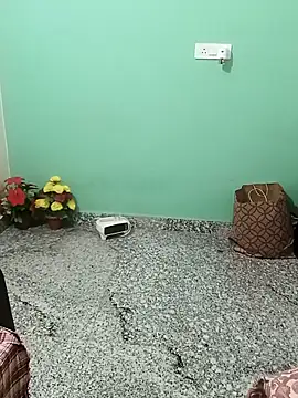 Saroj-Shah online show from 11-16-25, 03:17