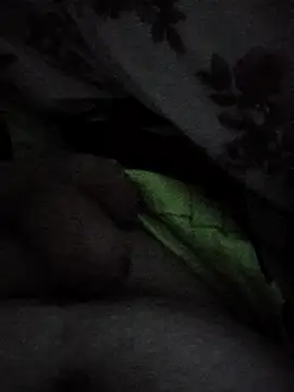 Snapshot of anderssonskuk chatting on 02-21-25, 03:43 anderssonskuk online show from 02-21-25, 03:43