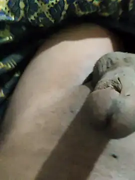 pusssyhub online show from 11-25-25, 12:00