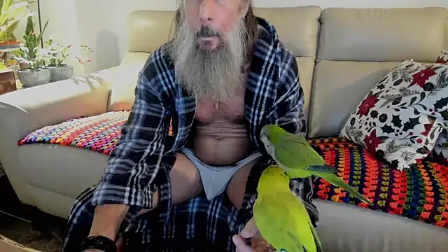 Snapshot of mindphu_k chatting on 11-29-25, 11:16 mindphu k online show from 11-29-25, 11:16