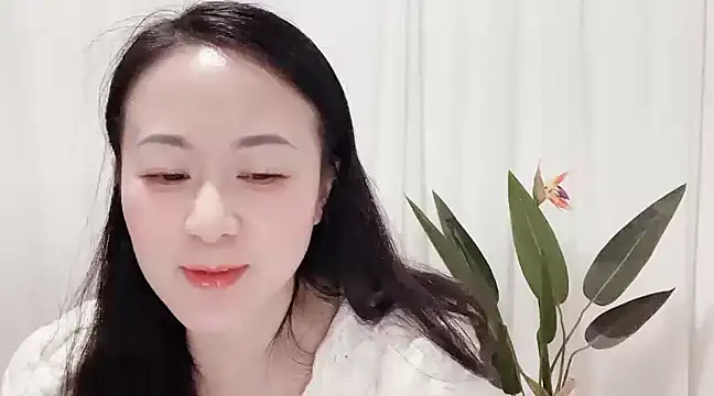 fanfan-FF online show from 03-04-25, 11:29