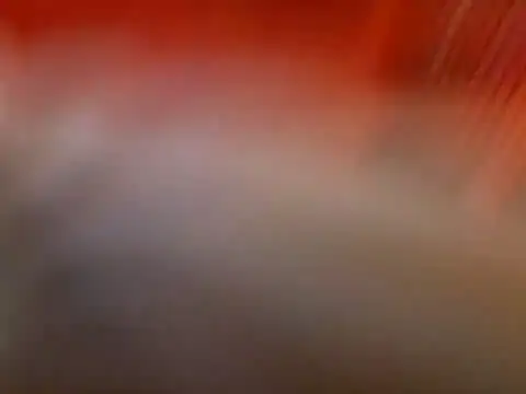 Snapshot of Lexxstacy chatting on 07-13-26, 09:03 Lexxstacy online show from 07-13-26, 09:03