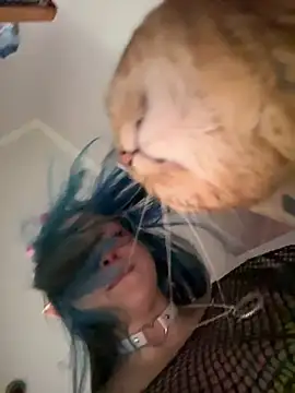 MaddisonHaas online show from 10-28-25, 12:44