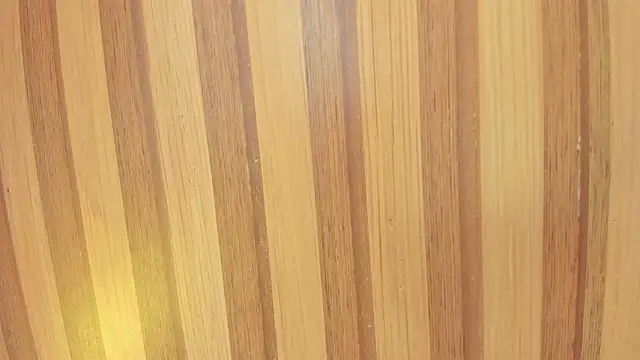 Taylor  cooper online show from 02-07-26, 06:38