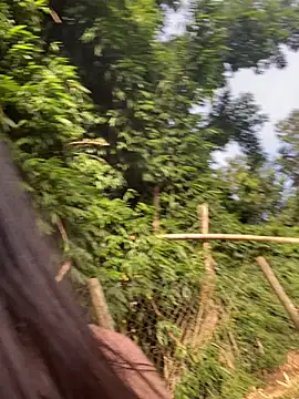 Morguissz online show from 02-07-25, 11:12