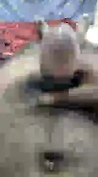 mallucallboy2104 online show from 12-10-24, 10:06