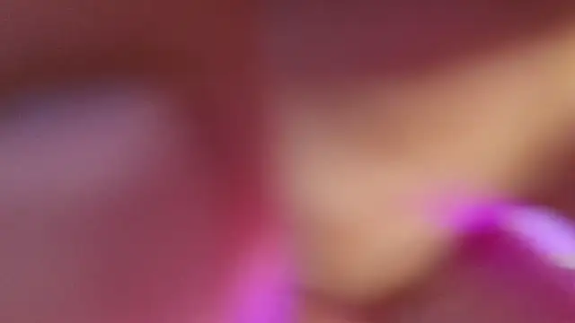 haileycat online show from 09-17-25, 11:51