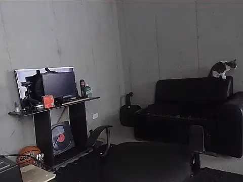 Snapshot of patrik_tattoo_ chatting on 04-07-26, 04:53 patrik tattoo online show from 04-07-26, 04:53