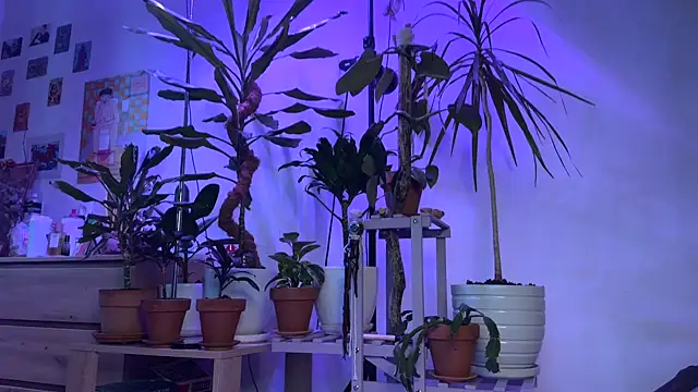 PaulaPratt online show from 09-13-25, 06:57