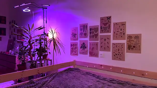 PaulaPratt online show from 10-04-25, 05:42