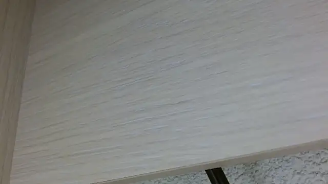 nass21cmm online show from 02-22-26, 08:43