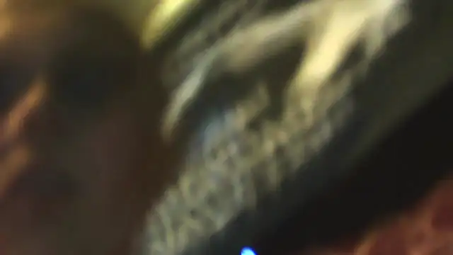 Snapshot of sexycockfiend777 chatting on 11-22-25, 01:21 sexycockfiend777 online show from 11-22-25, 01:21