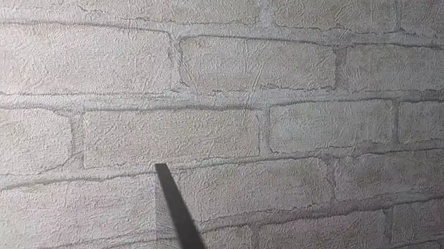 Nika Kitten online show from 04-16-26, 11:22