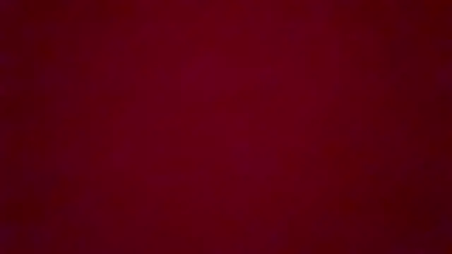 little fox alisa online show from 03-04-25, 09:43