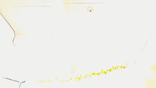 Anastasia2023 online show from 05-20-26, 08:06
