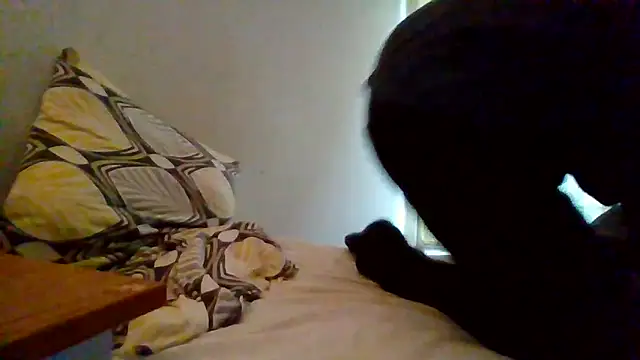 lusluk online show from 12-30-24, 03:34