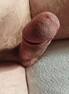 Snapshot of Stripchatsek chatting on 10-01-25, 08:30 Stripchatsek online show from 10-01-25, 08:30