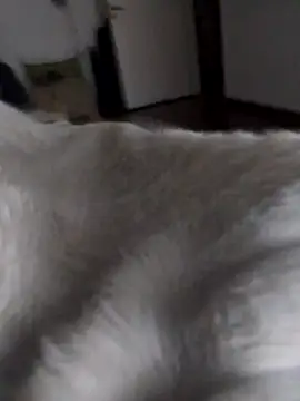 BURN666ING online show from 03-10-26, 06:50