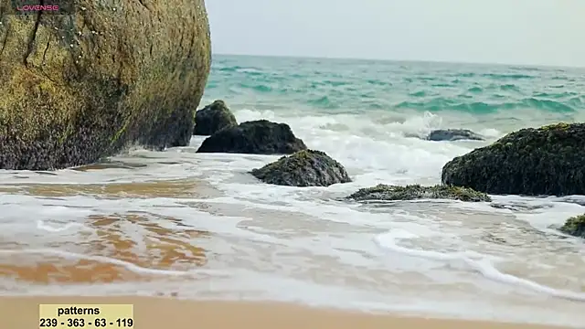 Snapshot of _sex_in_paradise_ chatting on 01-20-25, 11:54  sex in paradise  online show from 01-20-25, 11:54