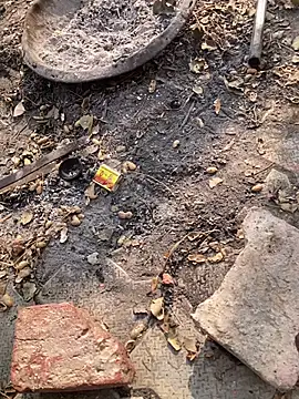 satrr xxx online show from 11-27-25, 04:57