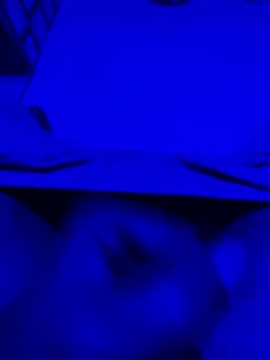 satrr xxx online show from 10-20-25, 01:51
