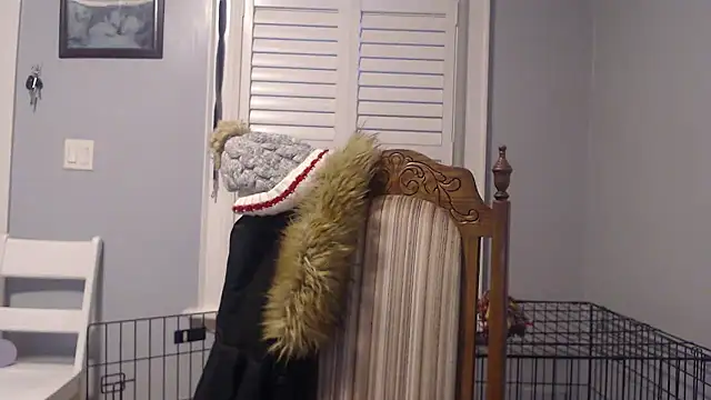 canadiancougar1965 online show from 12-01-24, 09:53