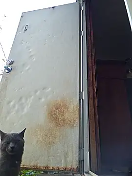 Beyond1978 online show from 11-15-25, 04:33