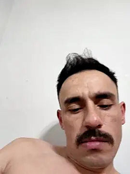 paladerler online show from 02-13-26, 09:37