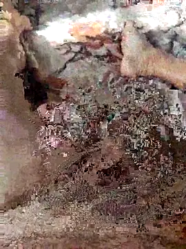 Snapshot of Mao211165 chatting on 12-15-25, 09:59 Mao211165 online show from 12-15-25, 09:59