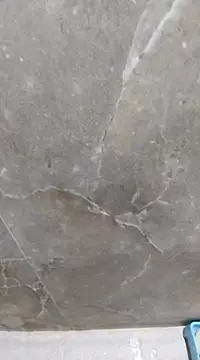 sudhastriper online show from 02-13-25, 10:00